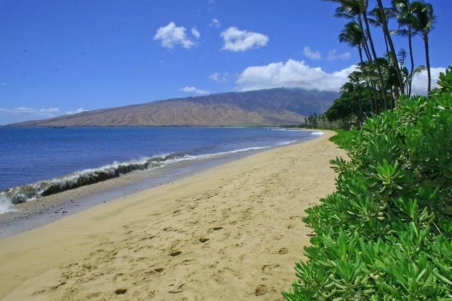 Lejlighed Kihei Beach, #102 Condo